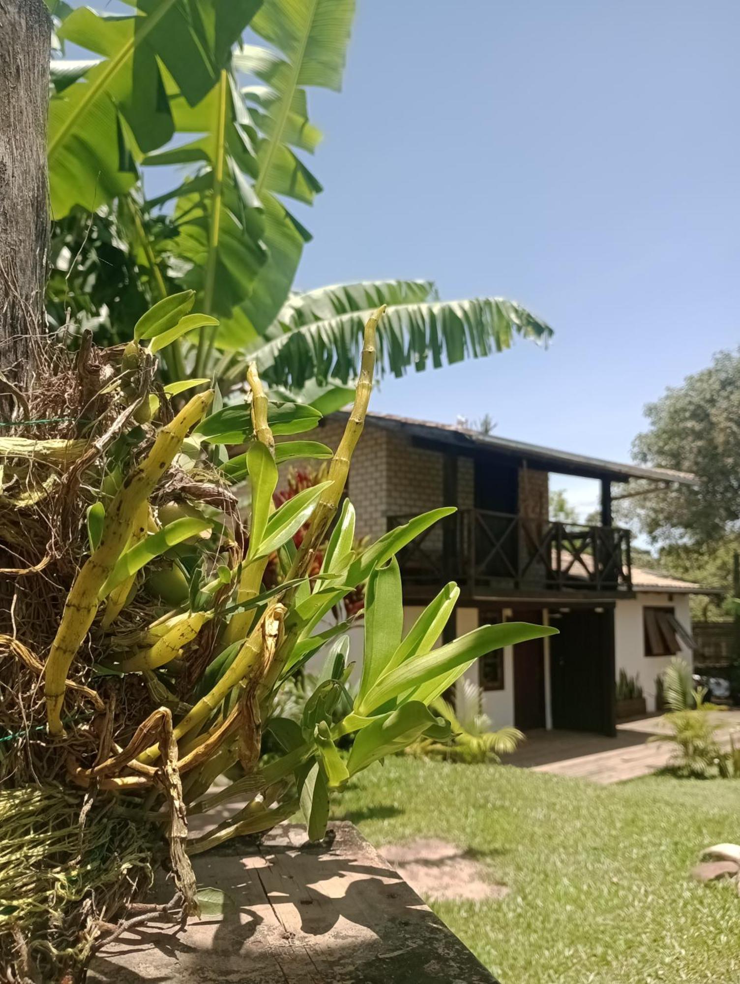 Alto Mar Apartment Praia do Rosa Exterior photo
